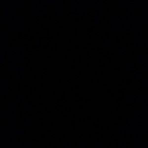 Meet your Posher, bleb